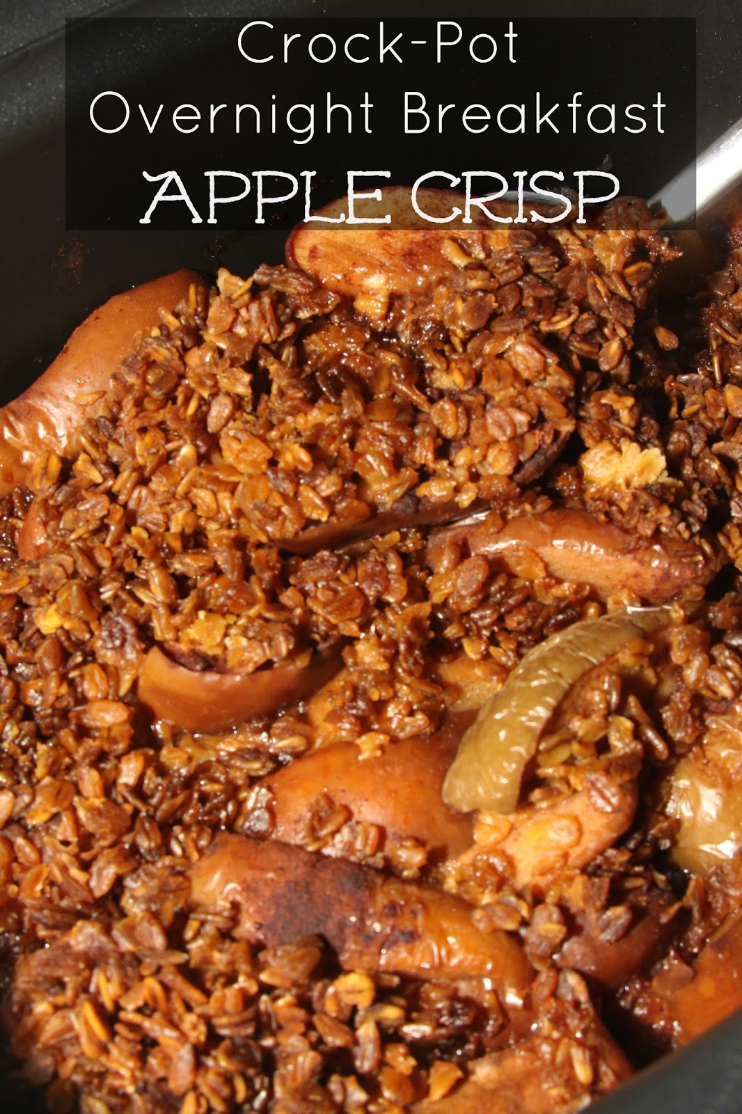 For the Love of Food CrockPot Overnight Breakfast Apple Crisp