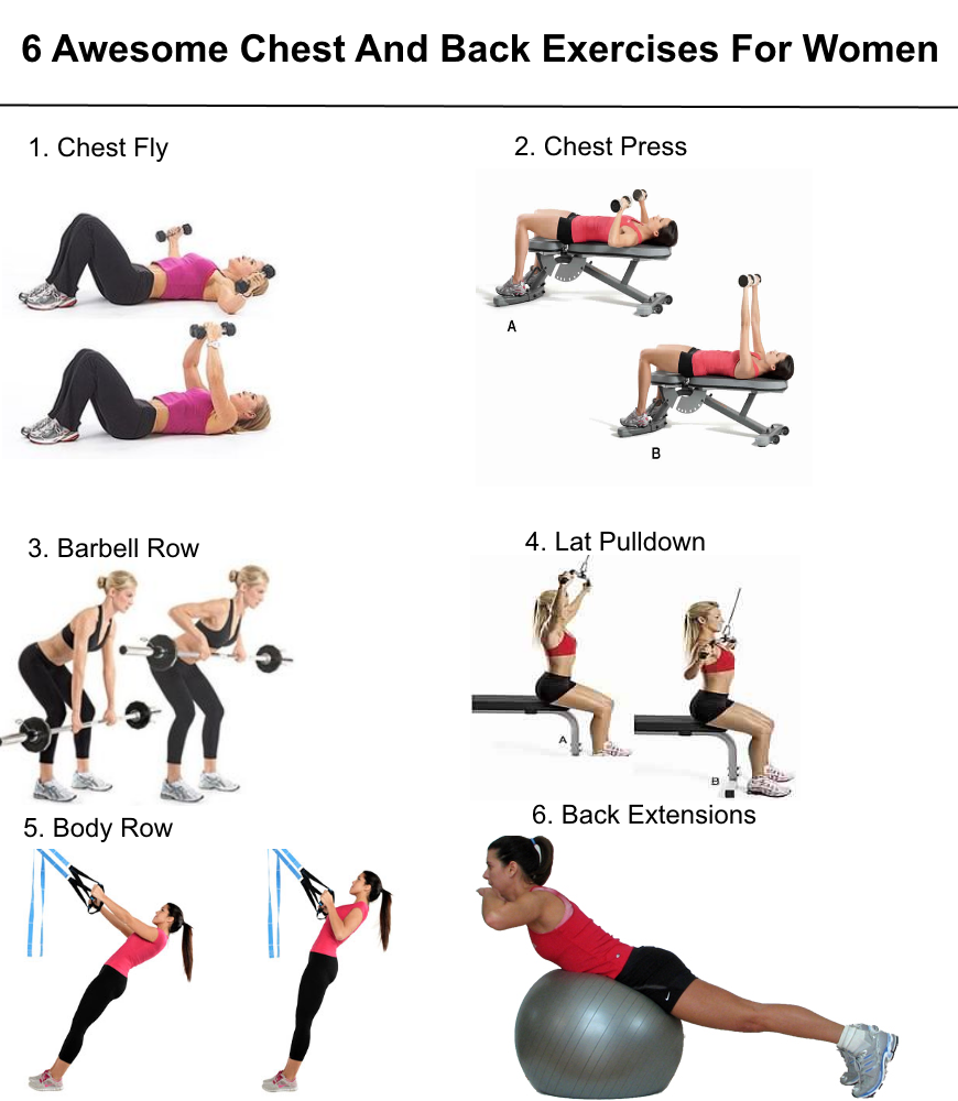 Workout Exercises Weight Exercises Upper Back