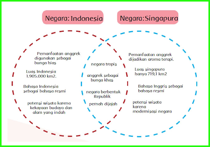 Kunci Jawaban Buku Siswa Kelas 6 Tema 1 Subtema 1 Halaman 2 4 6 14 Sanjayaops