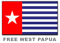 West Papua Ujung Panah