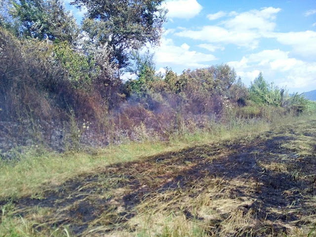 Αποτέλεσμα εικόνας για agriniolike πυρκαγιά