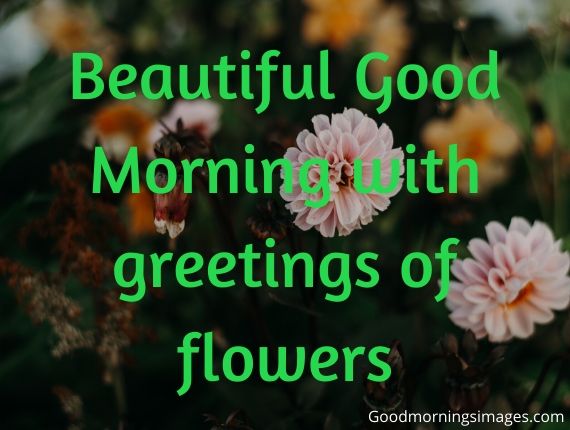Good Morning Images Free Download For Whatsapp Hd Download