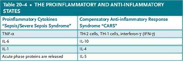 proinflammatory and anti-inflammatory states