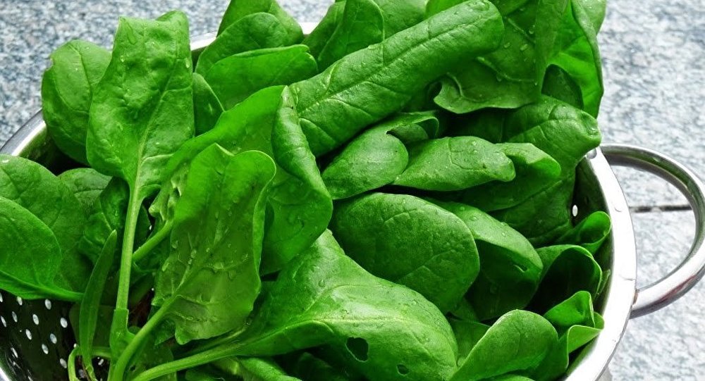 تفسير حلم رؤية السبانخ في المنام لابن سيرين