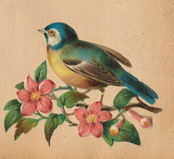 bird illustration birds tattoo flowers flower garden prints flickr painting vel peacock tattoos bluebird paintings para botanical happiness flores branch