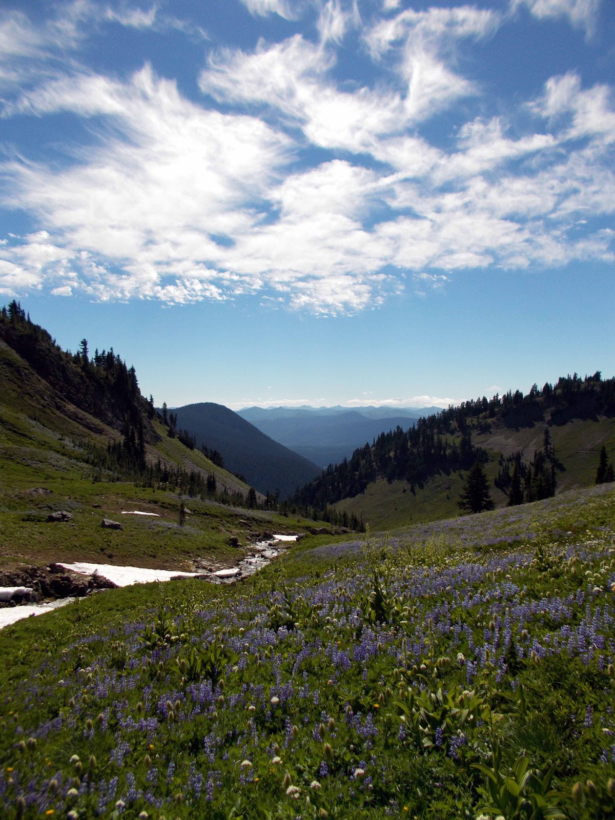 Ingrid on the PCT: Washington Section B: Trout Lake to White Pass ...
