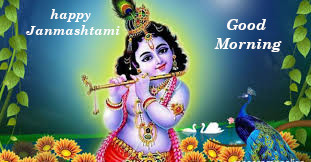 Top 10 Good Morning happy Krishna Janmashtami Wishes Images, Pictures ...