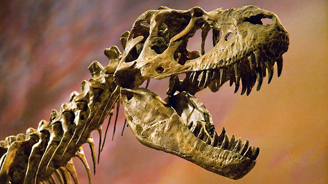 Почему кино-динозавры не похожи на настоящие