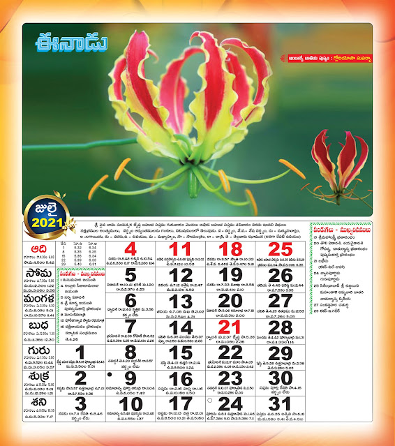 Eenadu Calendar 2021 Eenadu Telugu Calendar 2021 PDF Free Download