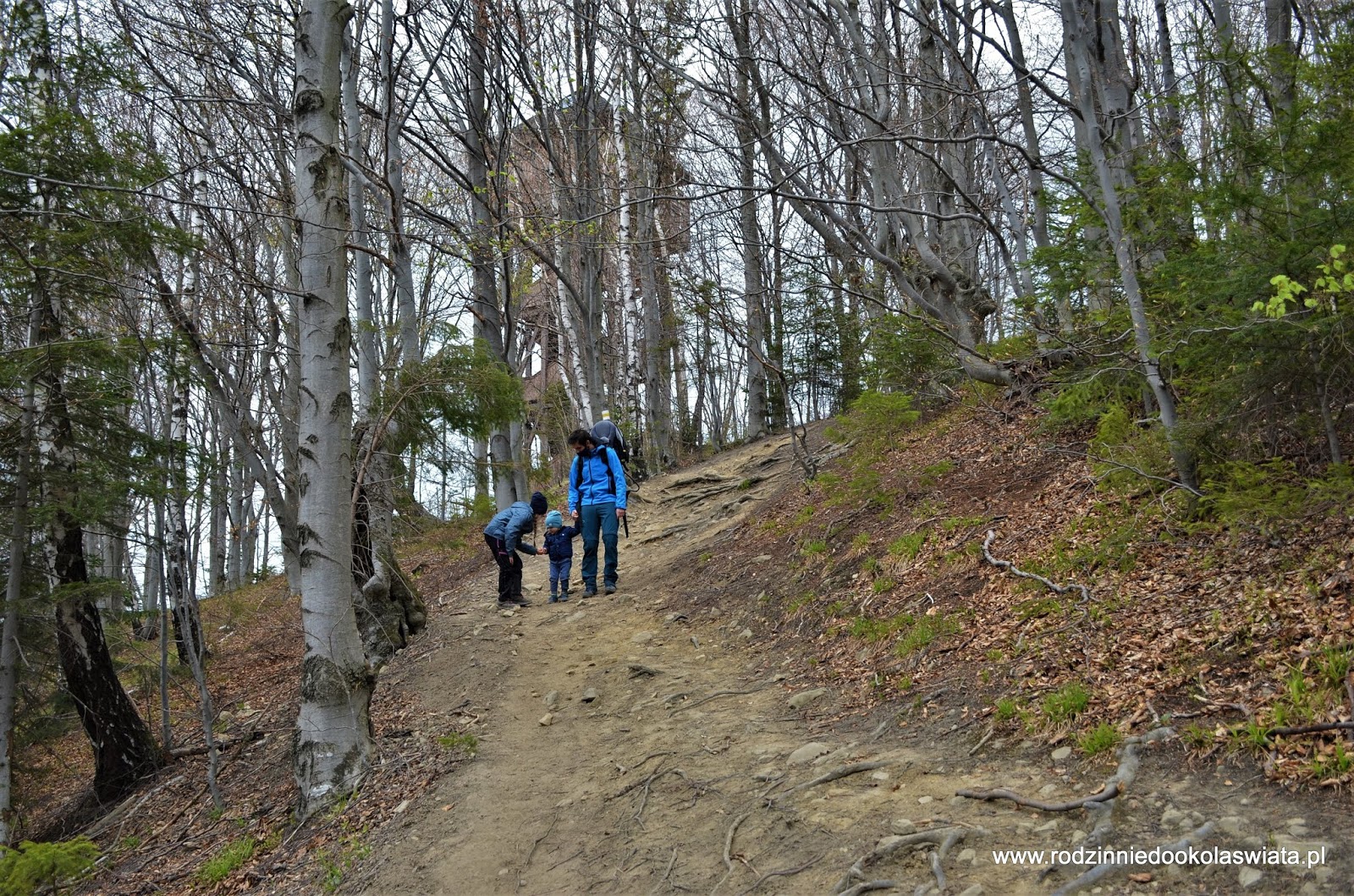 Wieża widokowa na Koziarzu z Tylmanowej Beskid Sądecki z dziećmi