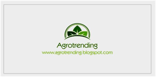 Agrotrending Hub
