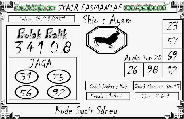 sdy selasa
