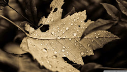 desktop wallpapers fall cool re