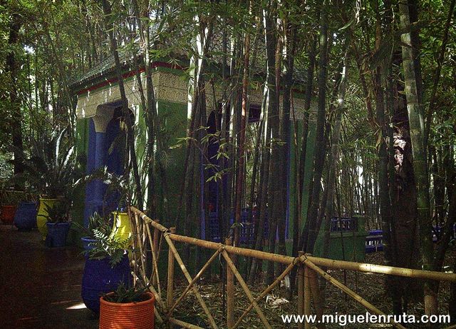 Jardines-Majorelle-Bambú