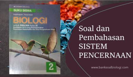 Soal Dan Pembahasan Bab 6 Sistem Pencernaan Makanan Buku Erlangga Bsb