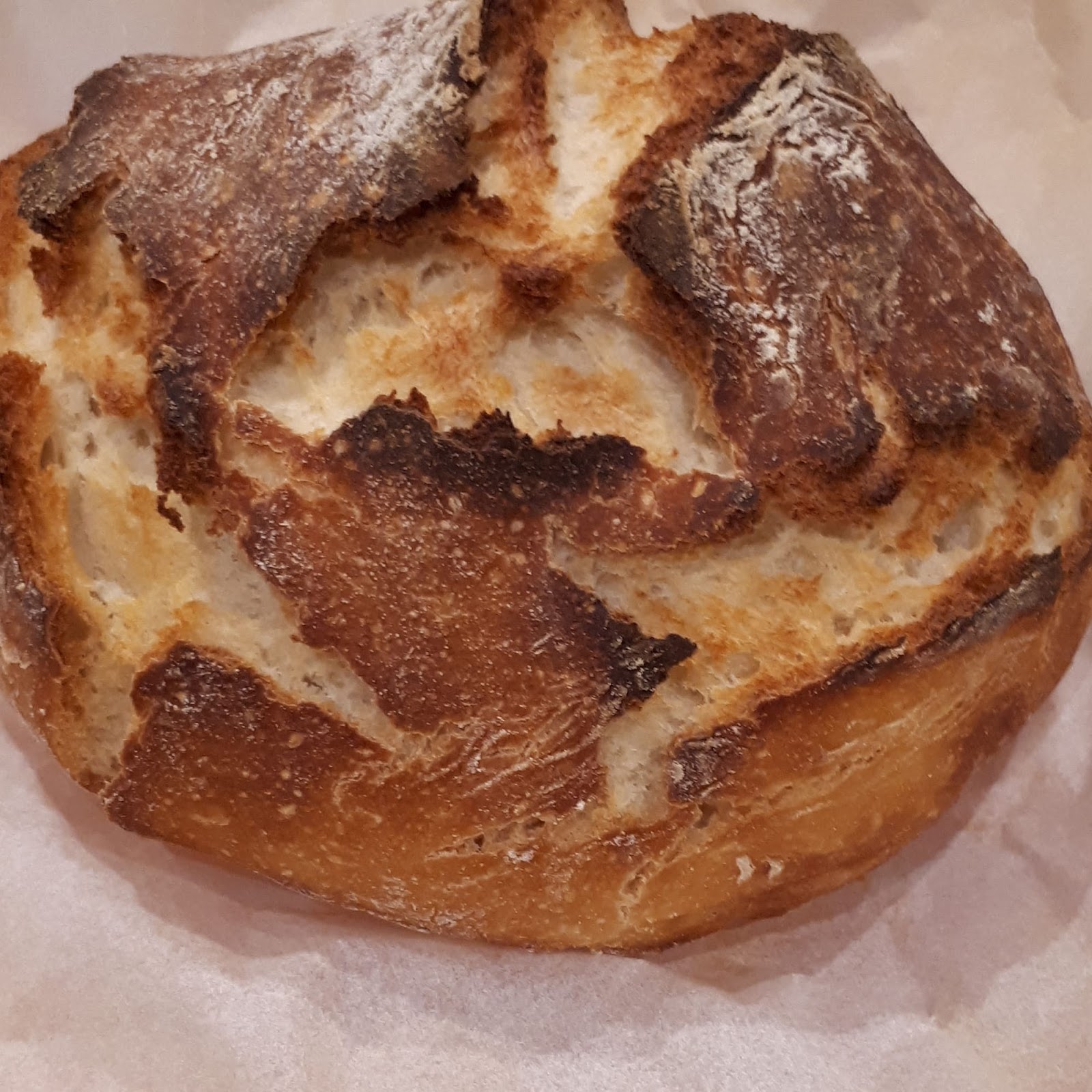 Just Another Cook Stuffed Portobello & Dutch Oven Bread