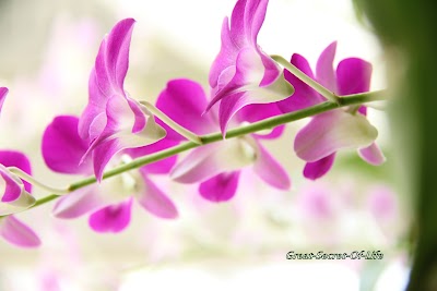 First Macro shot with my new camera