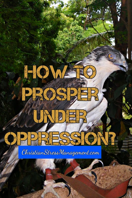 how to prosper under oppression