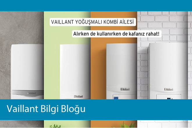 Vaillant электропривод для. теплоноситель вайлант. Combi boiler. теплоноситель для гелиосистем вайлант. брукс и вайлант фанфики.