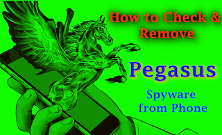Pegasus on Kali Linux Pegasus on Kali Linux