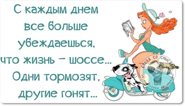 Юмор каждый день