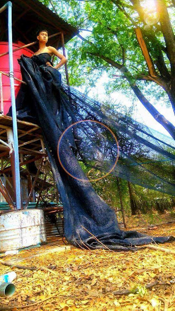 Lihat Konsep Foto ini bisa tingkatkan risiko terkena Stroke Lihat Konsep Foto ini bisa tingkatkan risiko terkena Stroke