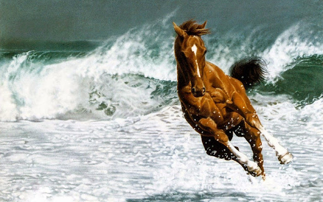 horse Photo wallpaper hd