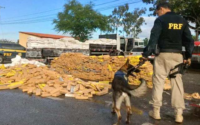 PRF apreende caminhão com mais de três toneladas de maconha na Bahia