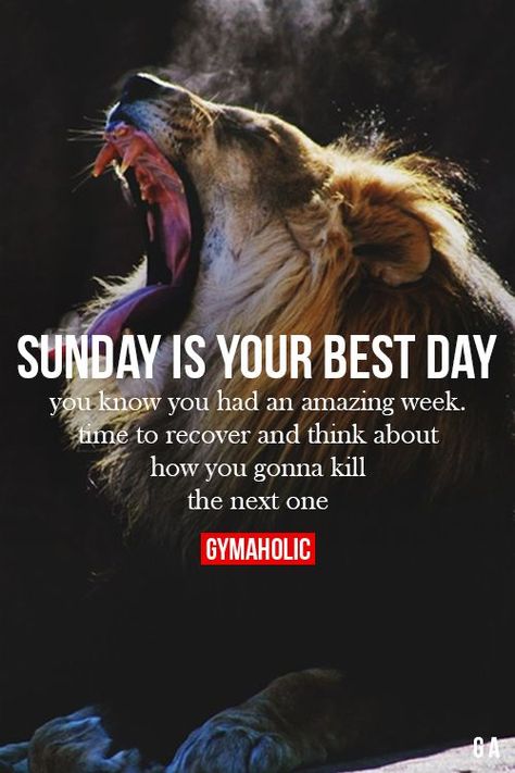 6 Sunday Fitness Motivational Quotes Train Hard Gym Quotes