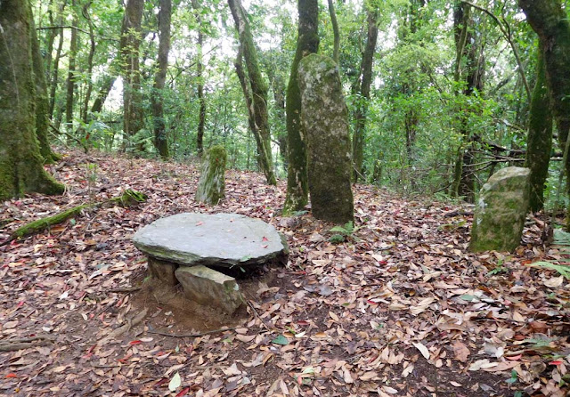 Monoliths inside the Mawphlang Sacred Forest, Meghalaya