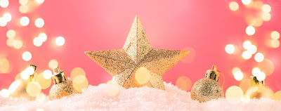 INTERNATIONAL:  Bread of the Week 47 - Christmas Twisted Star Bread