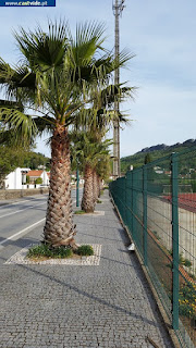 SPORTS AREAS / Estádio Municipal, Campo Relvado, Castelo de Vide, Portugal SPORTS AREAS / Estádio Municipal, Campo Relvado, Castelo de Vide, Portugal