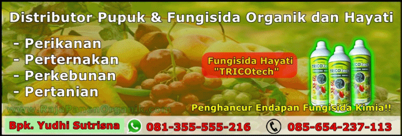 Distributor Pupuk & Fungisida organik