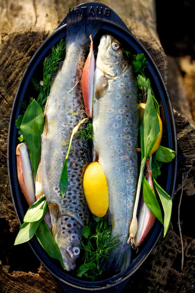 Fisch im Kräuterbett mit Bärlauchzwiebeln | ziiikocht