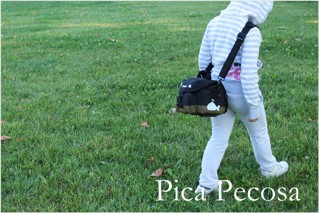 como-personalizar-funda-camara-fotos-con-chalk-paint