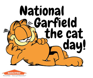 National Garfield the Cat Day HD Pictures, Wallpapers National Garfield the Cat Day