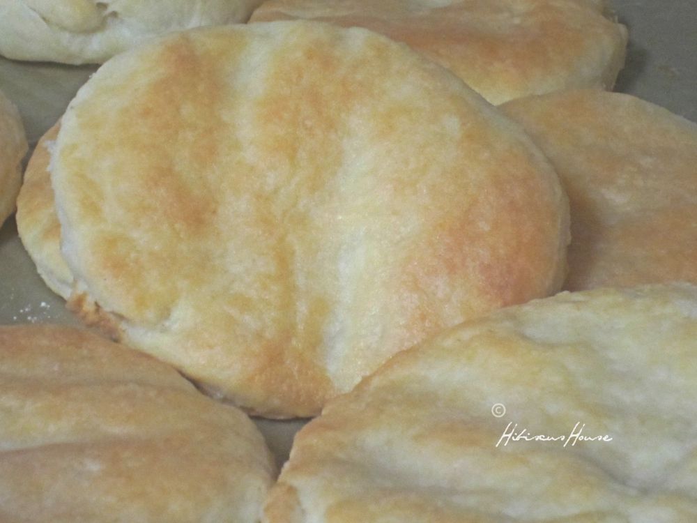 Hibiscus House Old Fashioned Thin Lard Biscuits