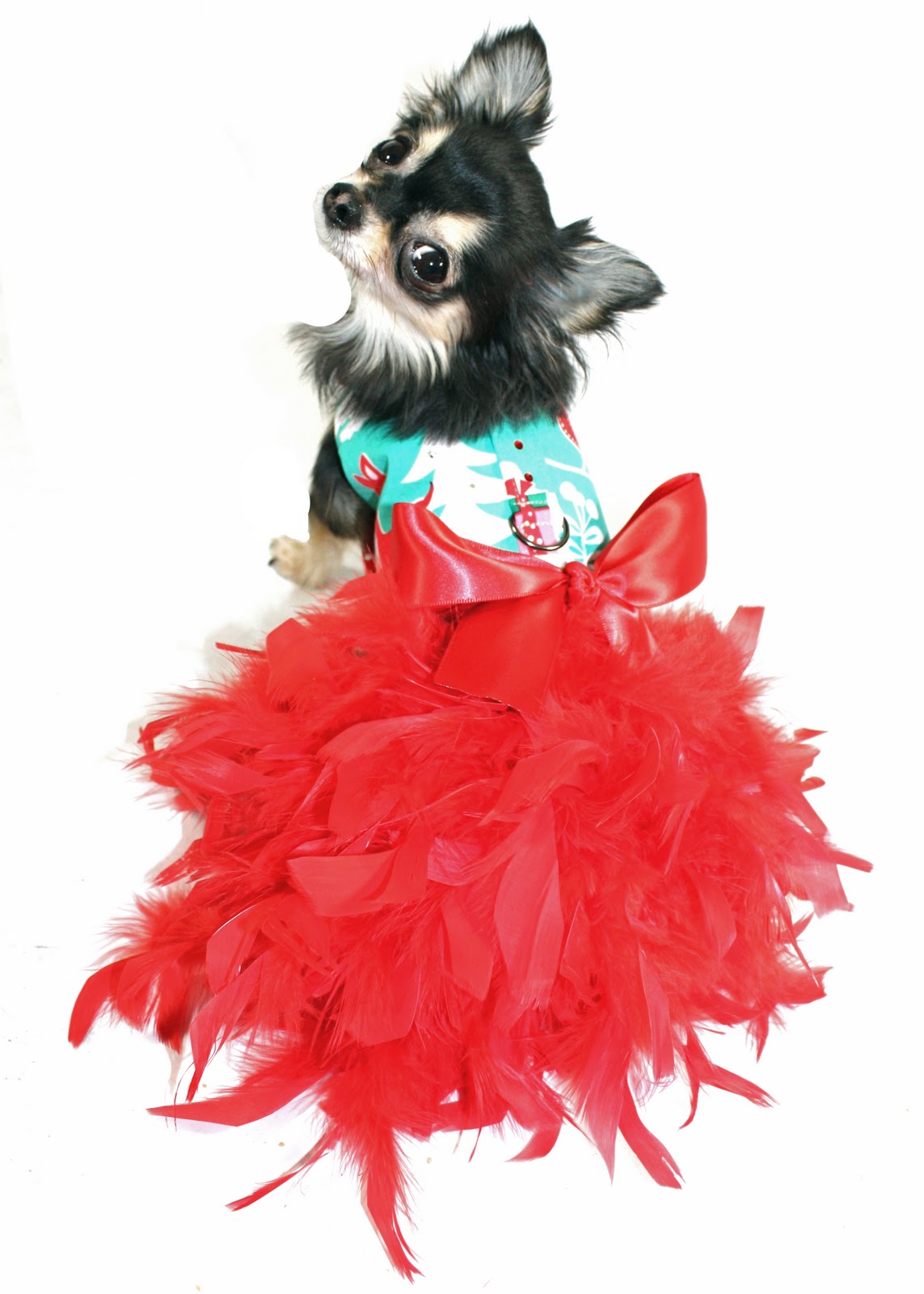 KO Couture Pet Fashion New Christmas Dog Dresses!!! Dog Christmas Dresses