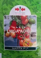 tomat marta, jual benih tomat terbaik, benih cap panah merah, budidaya tomat, toko pertanian, toko online, lmga agro