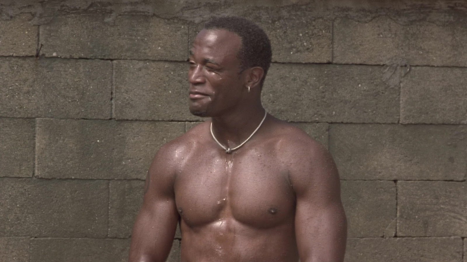 Taye Diggs and Richard T. Jones nude in The Wood.