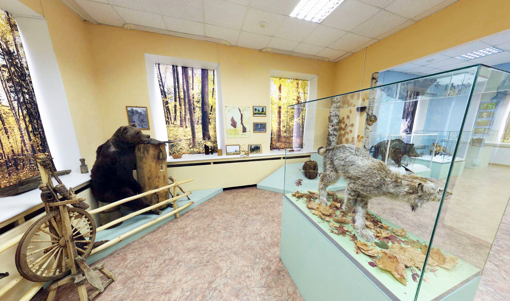 Музей природы во владимире Музей природы во владимире