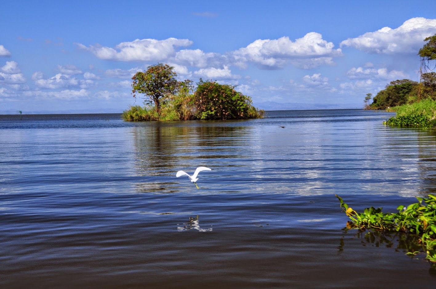 Большое пресноводное озеро в латинской америке. Озеро Никарагуа. Озеро Никарагуа в Северной Америке. Озеро Манагуа. Река Сан Хуан Никарагуа.