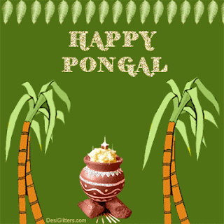 Pongal animated GIF