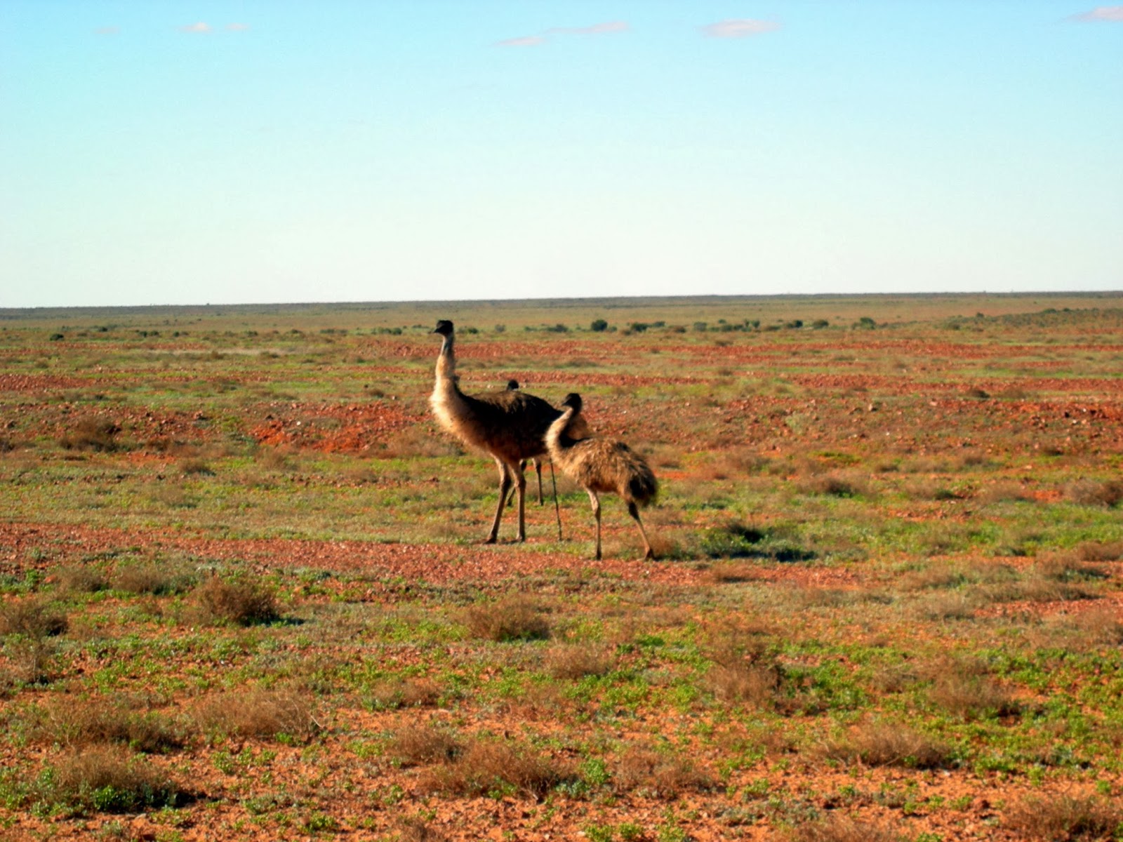 Travel Australia: January 2014