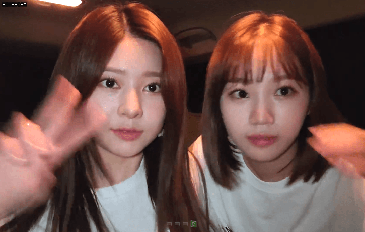 Honeycam%2B12919%2B%25281%2529.gif