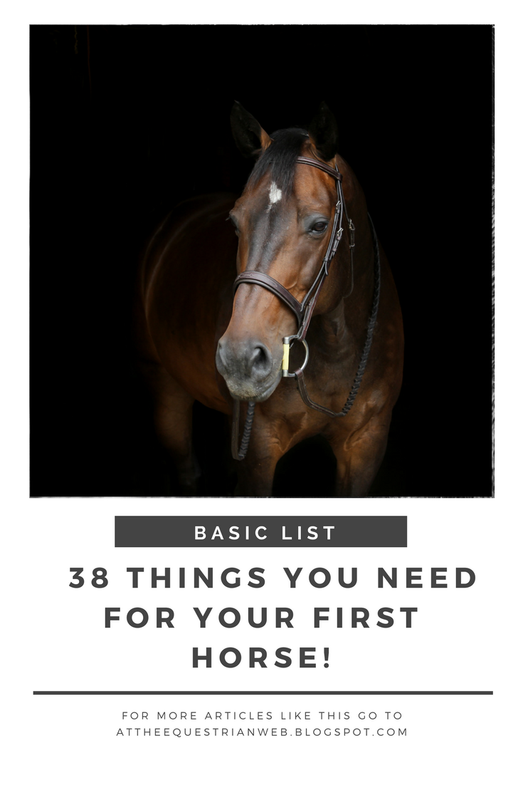 38 Things you Need for your First Horse!