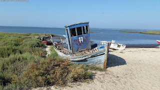 PLACES / Porto Palafita, Carrasqueira, Portugal