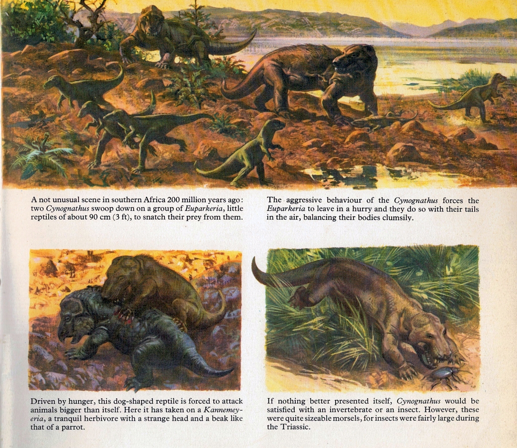 Love in the Time of Chasmosaurs: Vintage Dinosaur Art: Private Lives of  Animals: Prehistoric Animals - Part 2