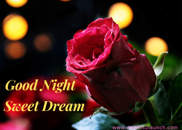 good night image rose