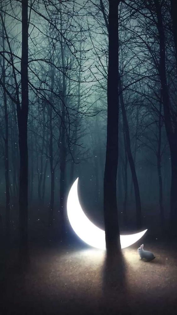 Smalaks ليل وقمر خلفيات قمر للايفون